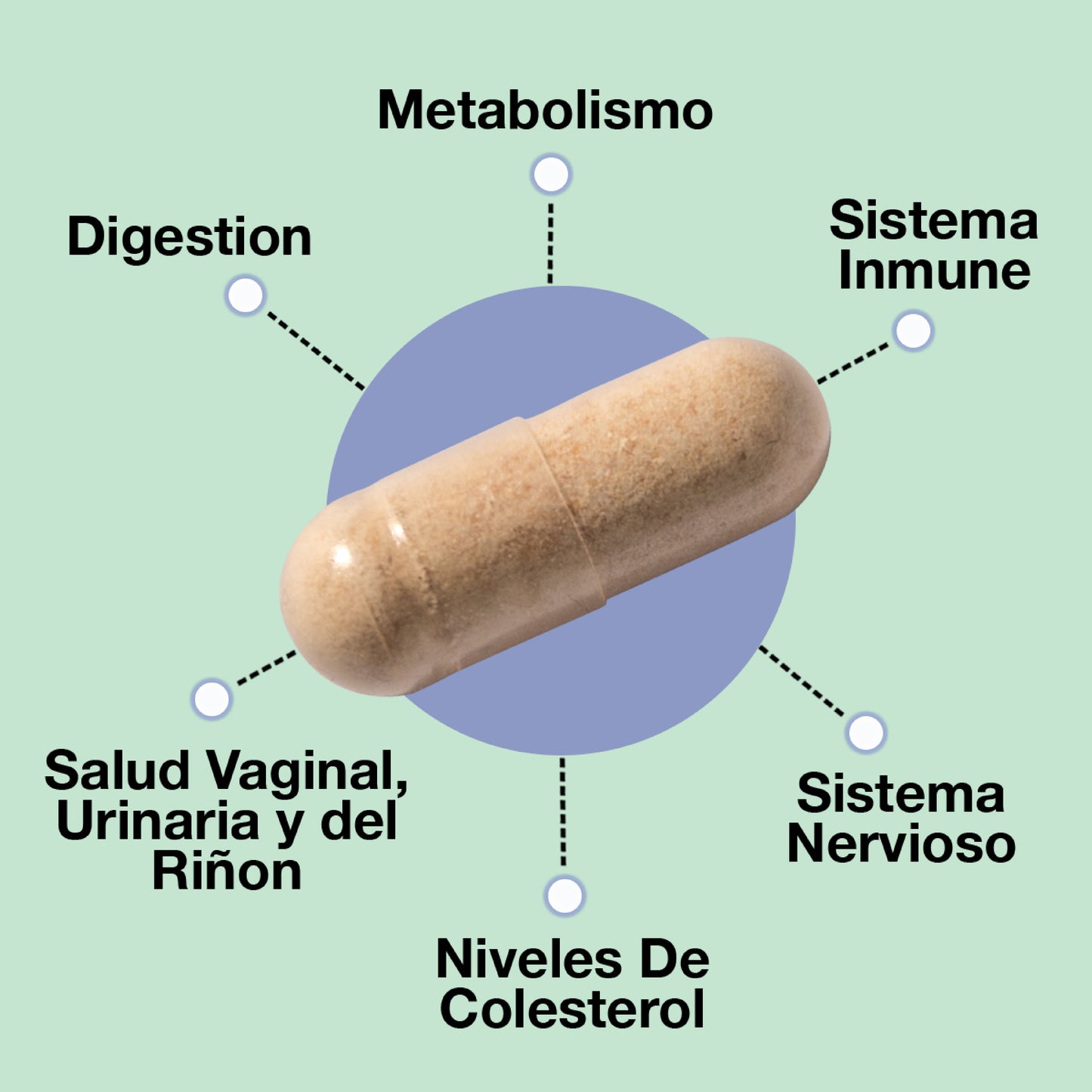 ASULABS Advanced Probiotic Formula